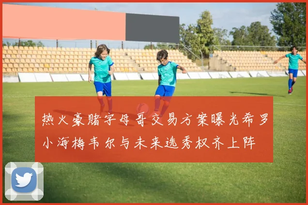 热火豪赌字母哥交易方案曝光希罗小海梅韦尔与未来选秀权齐上阵