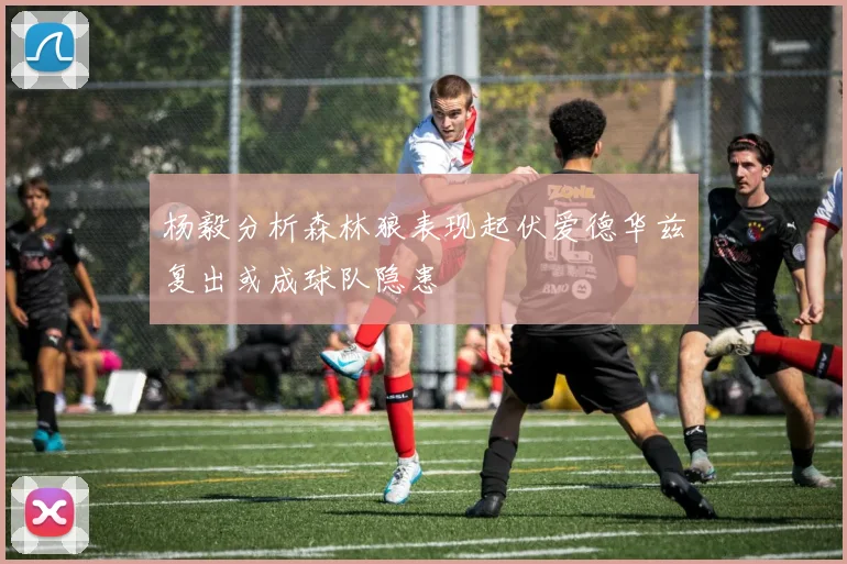 杨毅分析森林狼表现起伏爱德华兹复出或成球队隐患